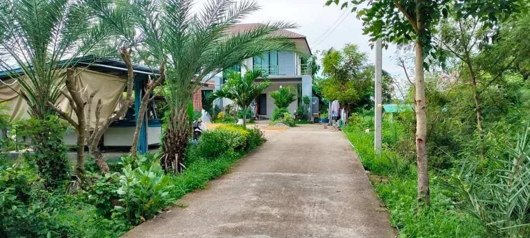 บ้านเดี่ยว บนที่ดิน 3 ไร่ 70 ตร.ว. ต.เขาดินใต้ อ.เก้าเลี้ยว จ.นครสวรรค์