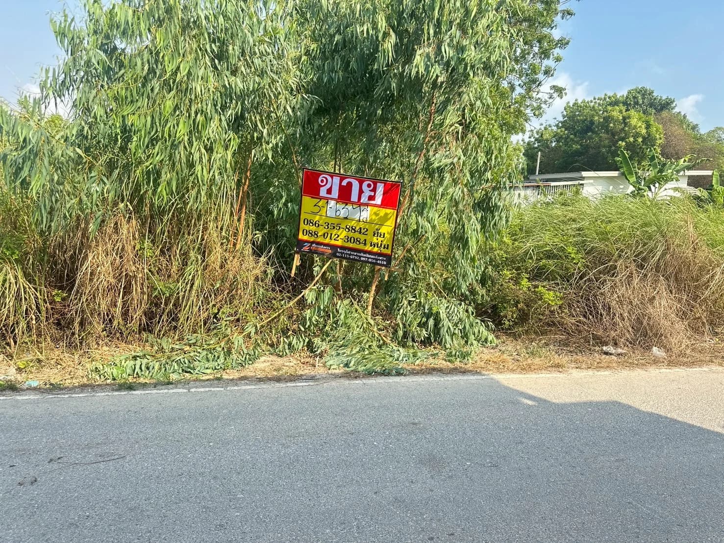 ขายที่ดิน 3-1-63 ไร่ ซอยเนินพระ 3/1 ชุมชนกรอกยายชา เมืองระยอง