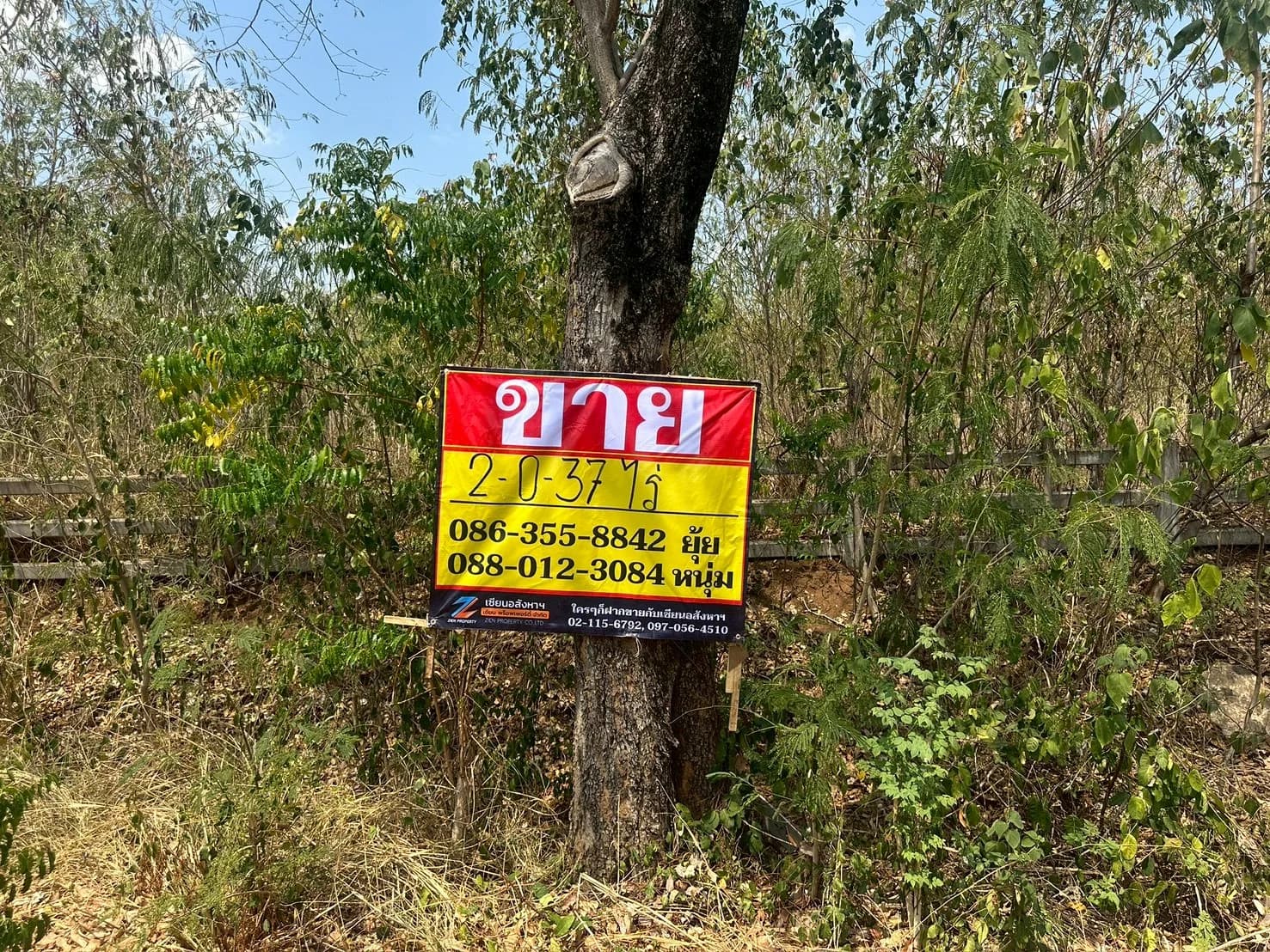 ขายที่ดิน 2-0-37 ไร่ ในโครงการปาล์ม วัลเลย์ คาเฟ่ แอนด์ ฟาร์ม คำพราน วังม่วง สระบุรี