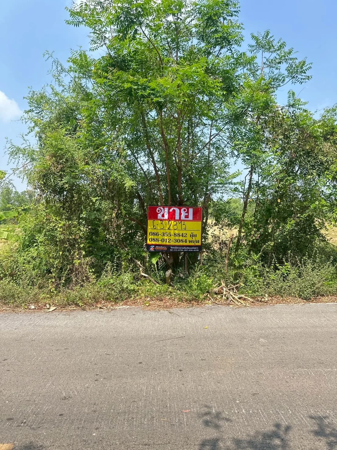 ขายที่ดิน 6-3-28 ไร่ ซอยองค์การบริหารส่วนจังหวัดนครนายก บางสมบูรณ์ องครักษ์ นครนายก