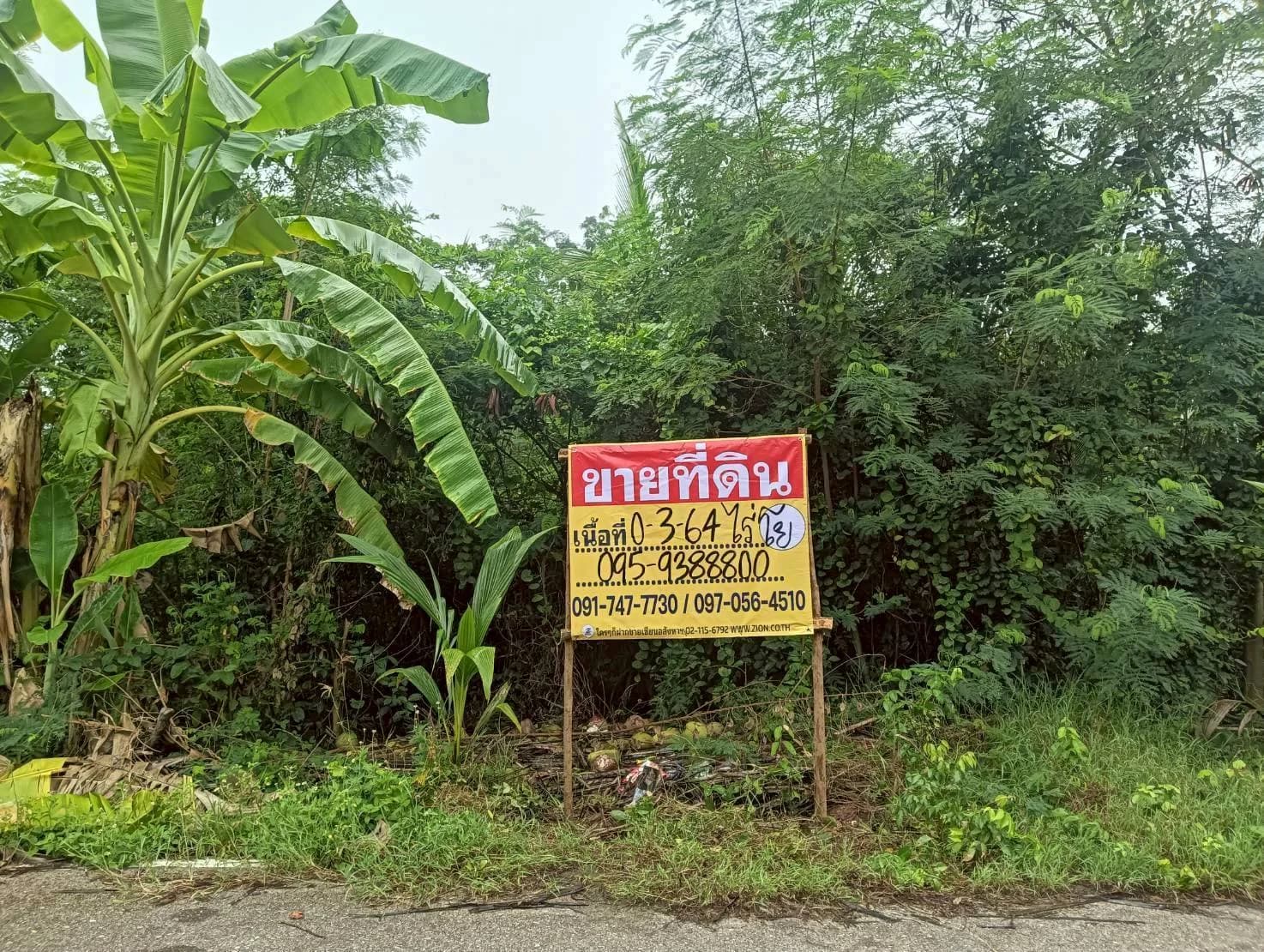 ZSK035 ขายที่ดินติดคลองขุดเล็ก 364 ตร.วา. ทำเลสวย ธรรมชาติ รมรื่น ปลายโพงพาง อัมพวา สมุทรสงคราม