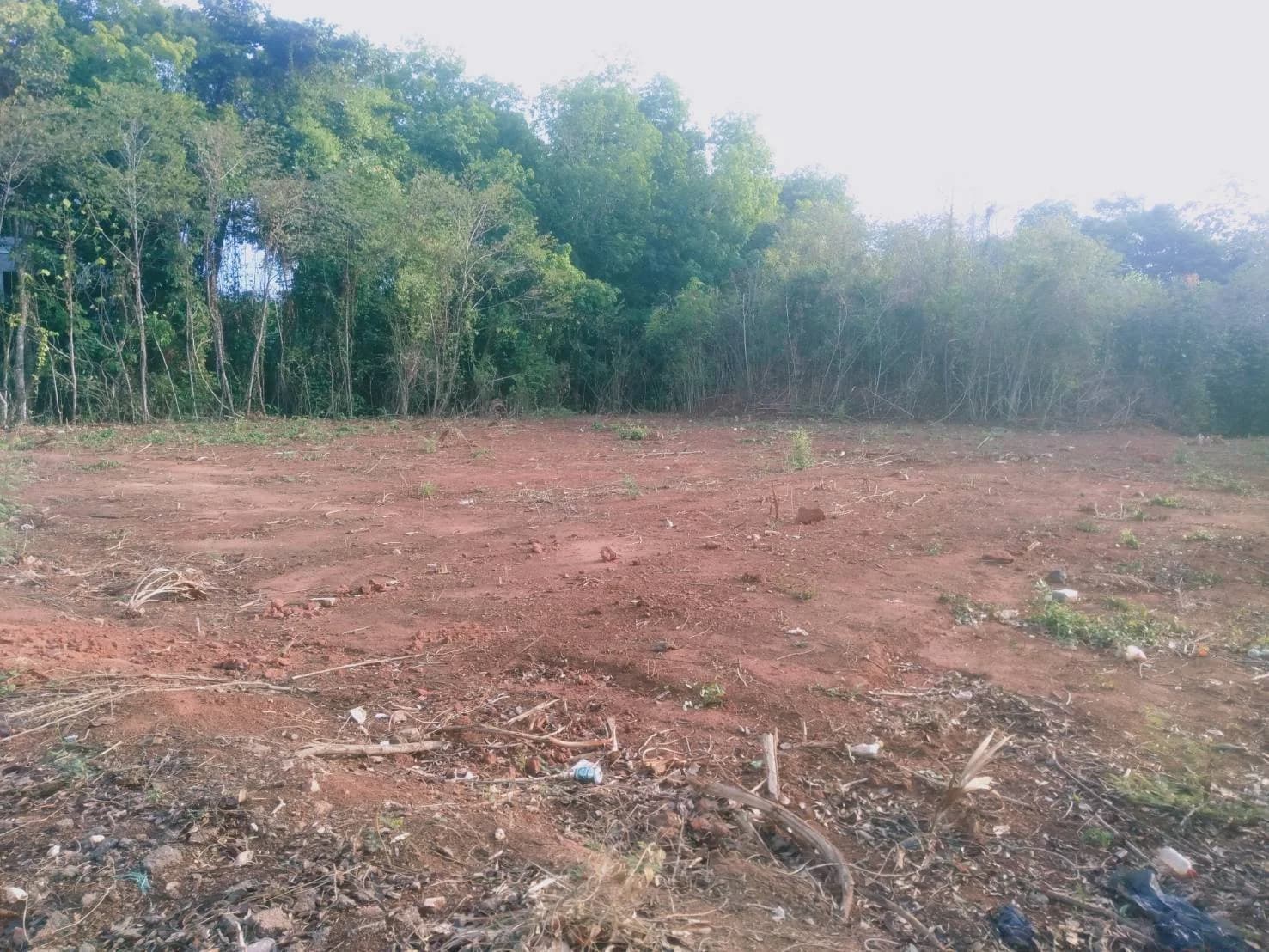 ขายที่ดิน 1-2-55 ไร่ ใกล้ มอ.วิทยาเขตสุราษฎร์ธานี ขุนทะเล เมืองสุราษฎร์ธานี