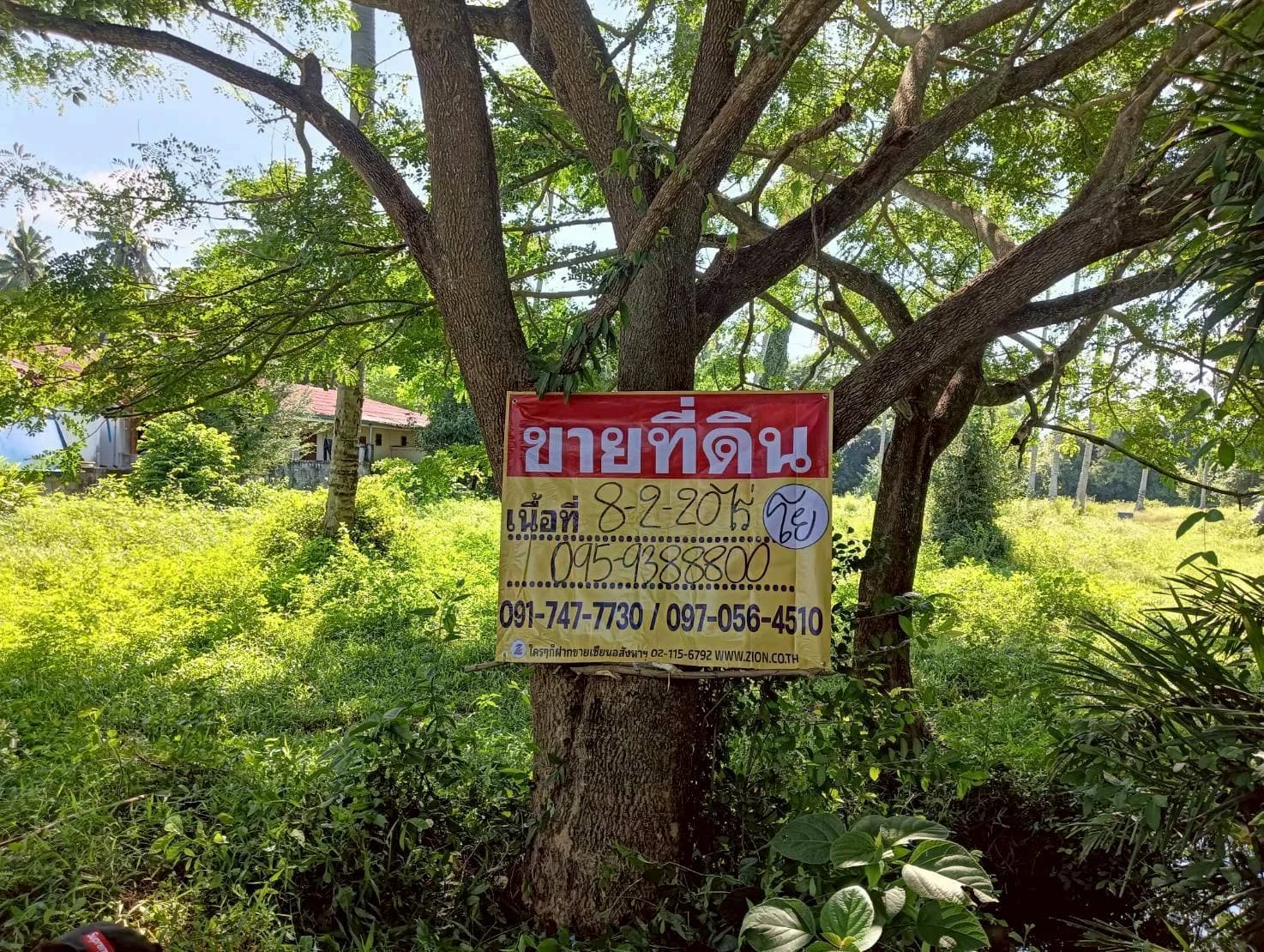 ZSK044 ขายที่ดิน 8-2-20 ไร่ ทำเลสวย วิวธรรมชาติ ธงชัย บางสะพาน ประจวบคีรีขันธ์