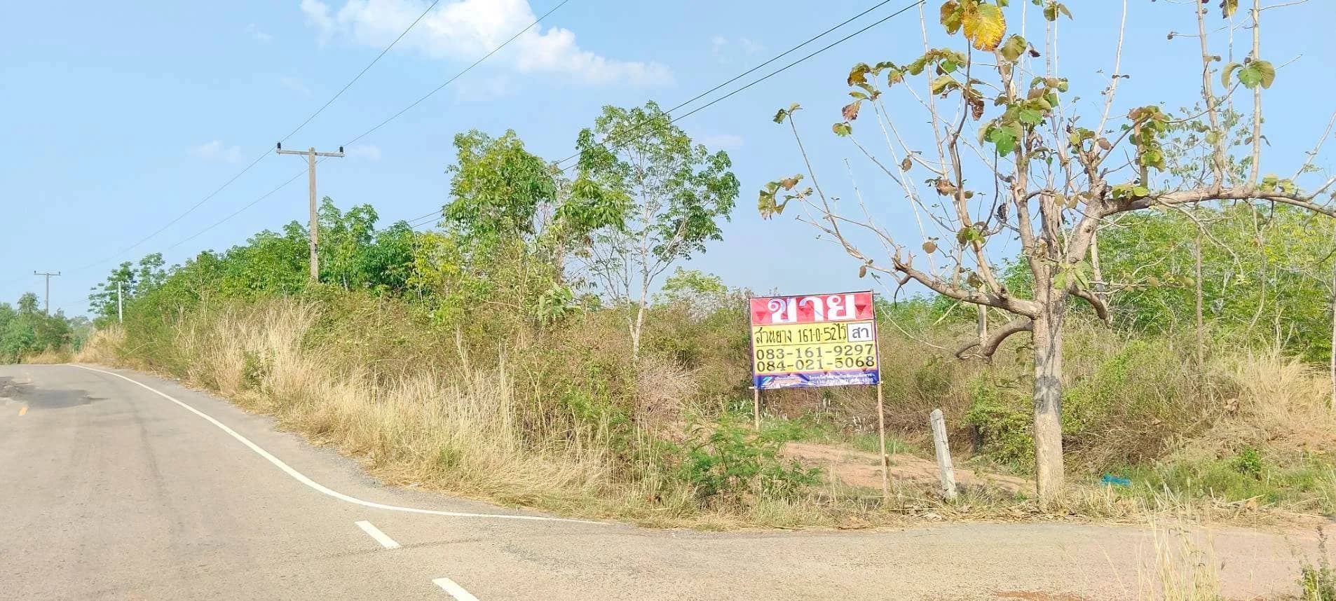 ขายที่ดินสวนยางพร้อมกรีด ราคาถูก 161-0-52 ไร่ คำบง บ้านผือ อุดรธานี