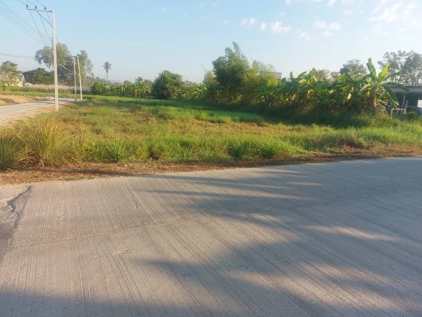 ขายที่ดิน 1-1-38.6 ไร่ บ้านกร่าง ใจกลางเมืองพิษณุโลก ใกล้ถนนเส้นหลัก ตรงข้ามดูโฮมพิษณุโลก